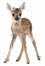 Staand hertje met roosje strijkapplicatie bambi